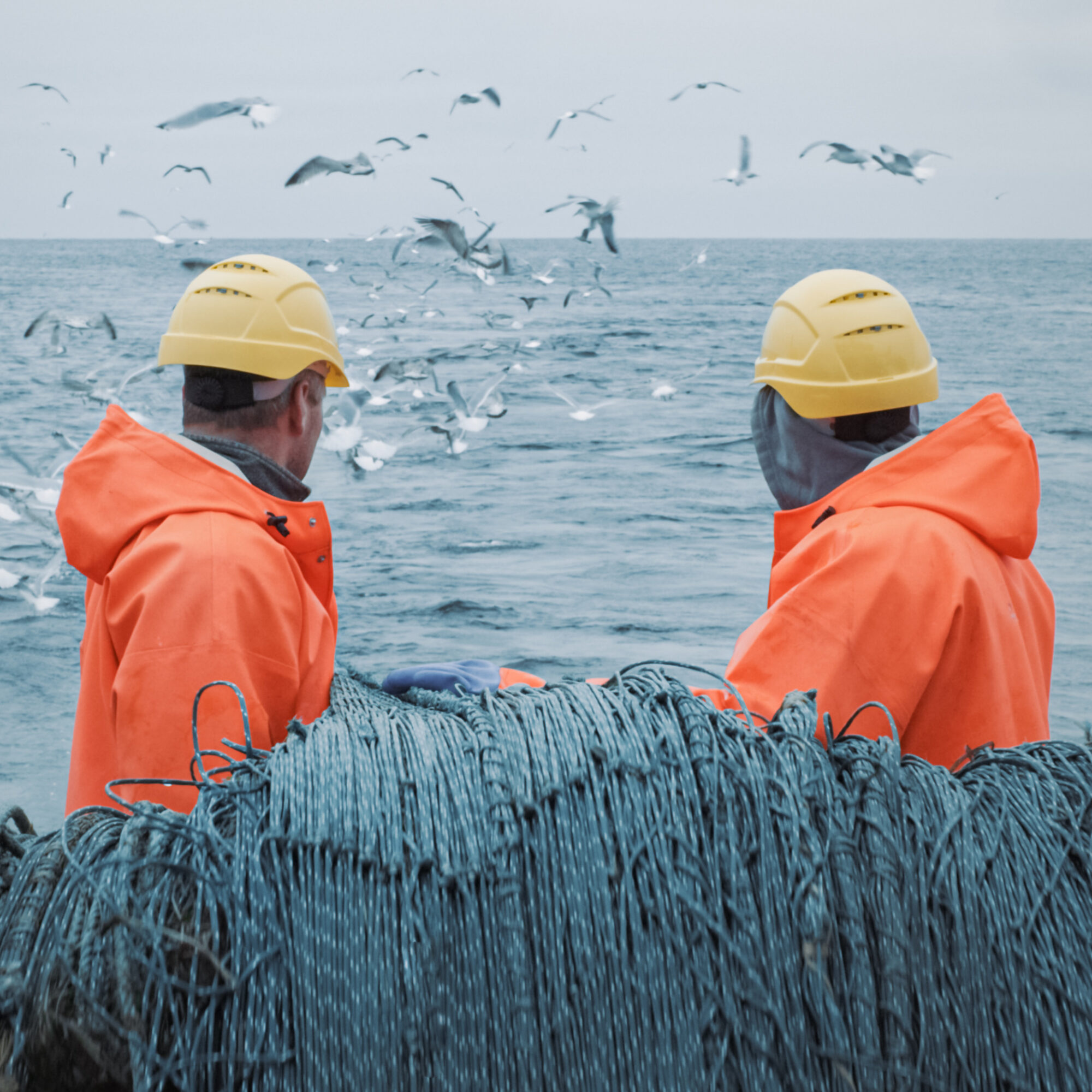 Crew of Fishermen Work on Commercial Fishing Ship that Pulls Trawl Net.