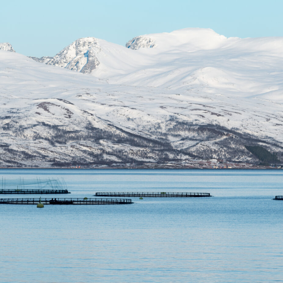 Fish farming in Norway